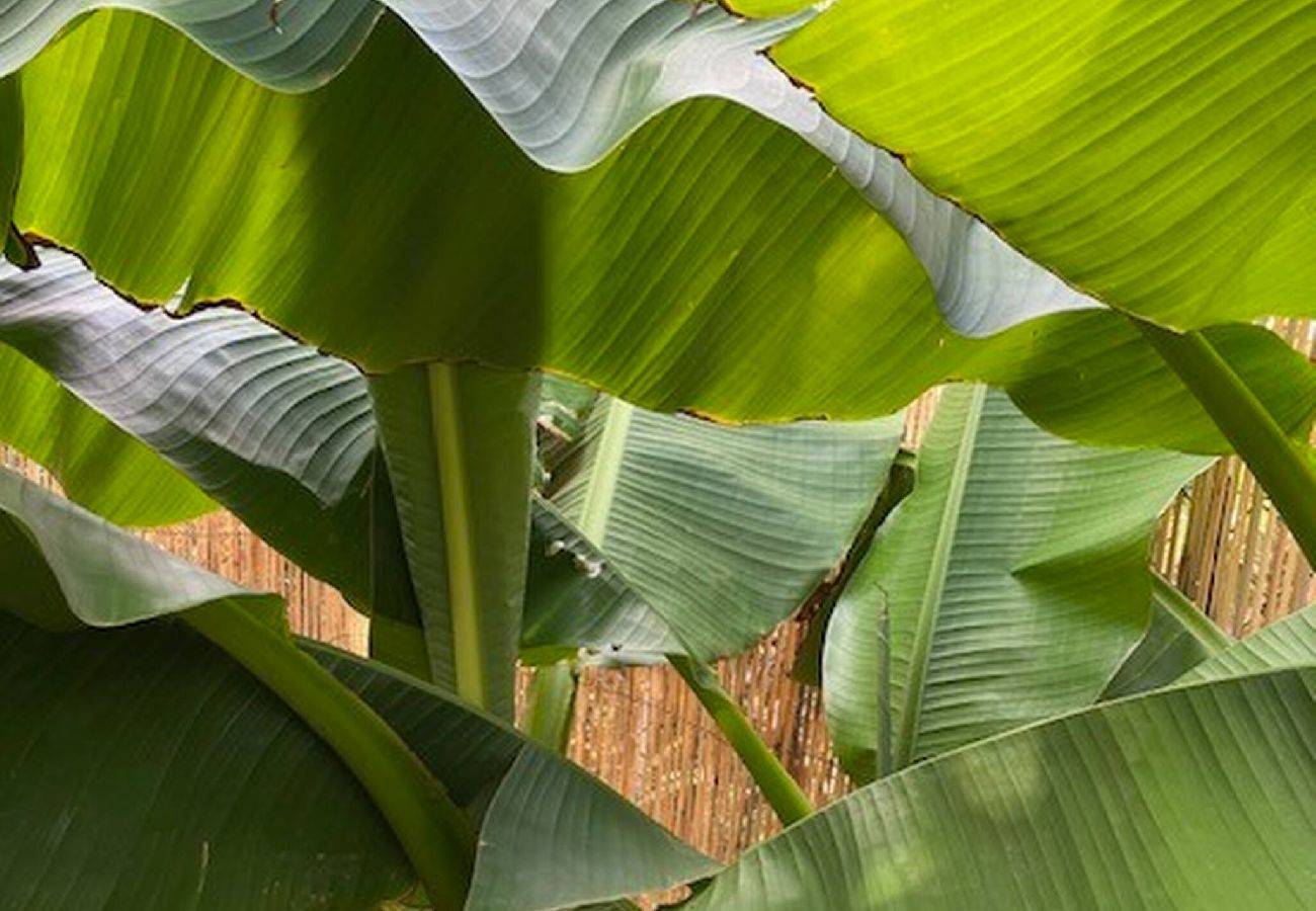 Maison mitoyenne à Gramat - Jolie maison de ville à Gramat