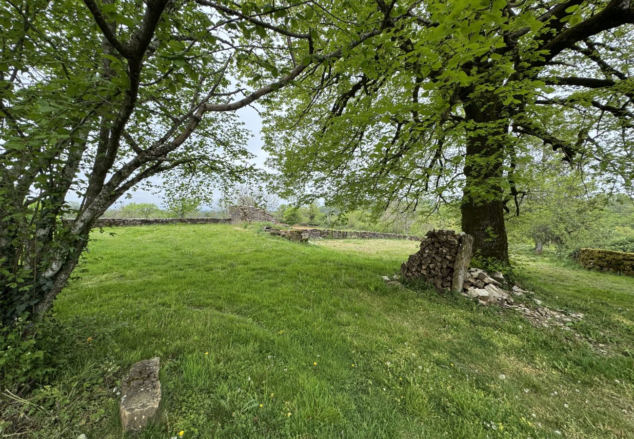 Maison à Miers - Gîte de charme en pierre , grand jardin, proche Ro