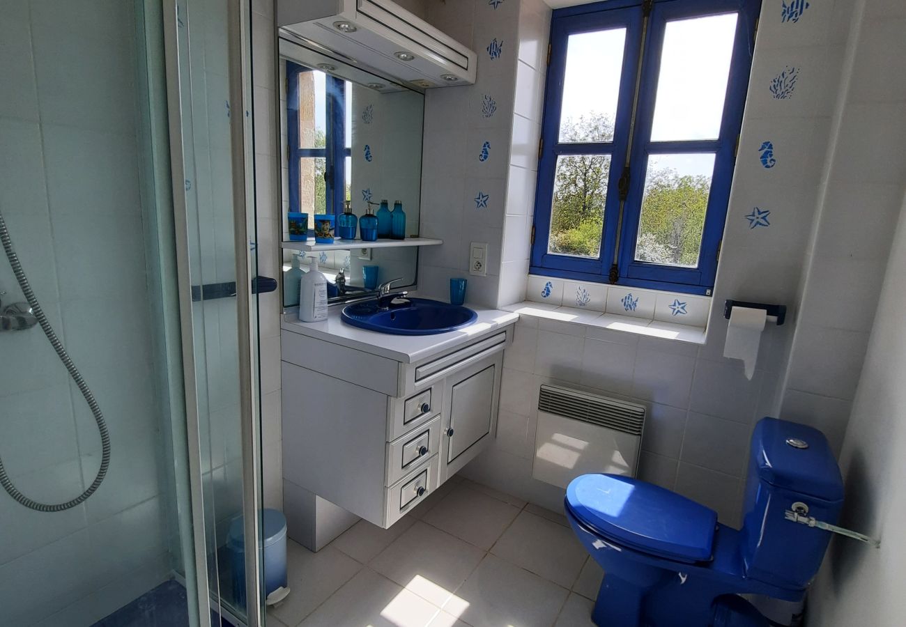 Maison à Flaujac-Gare - jolie maison de vacances avec piscine